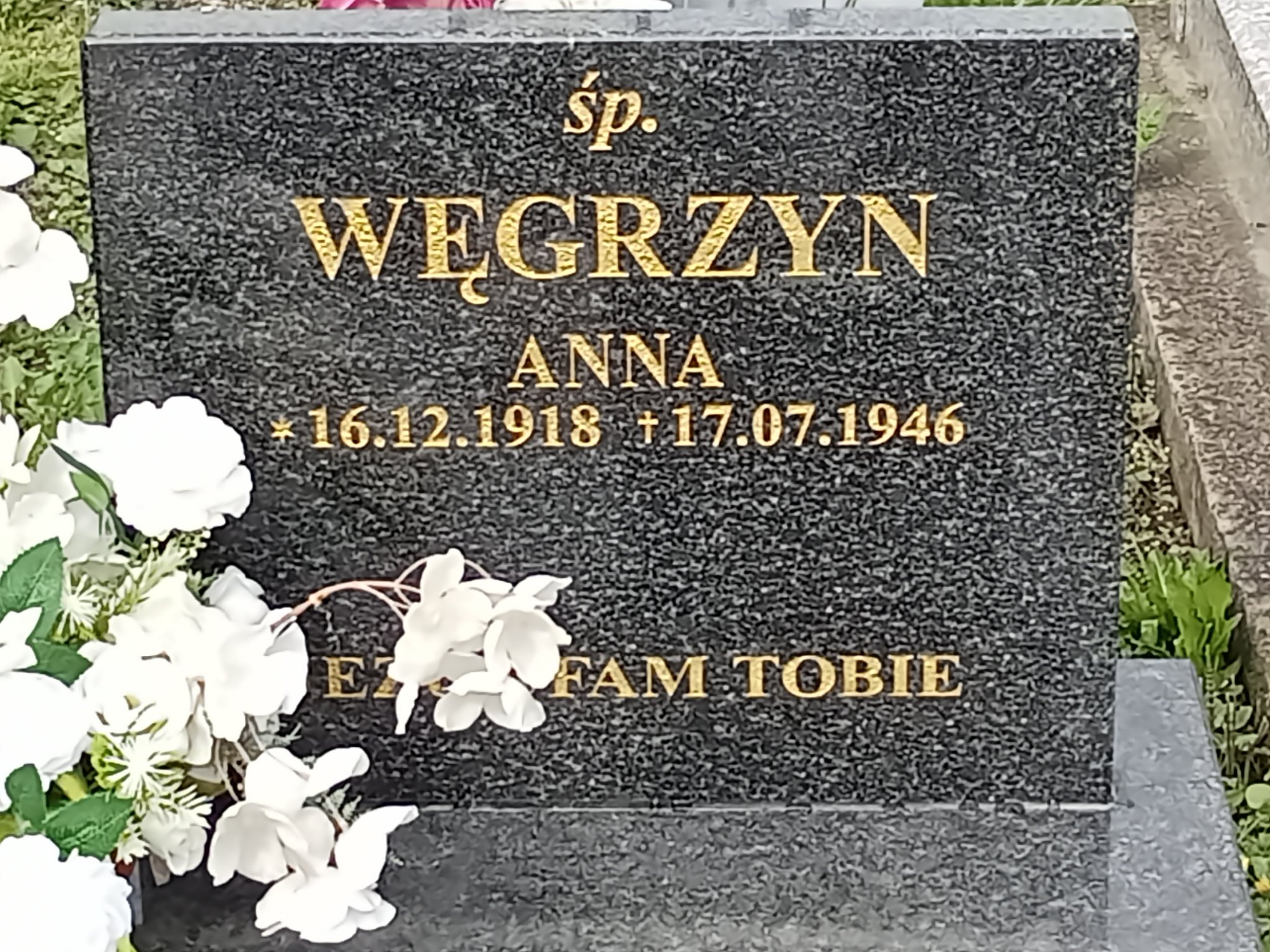 Anna Węgrzyn 1913 Miejsce Piastowe - Grobonet - Wyszukiwarka osób pochowanych