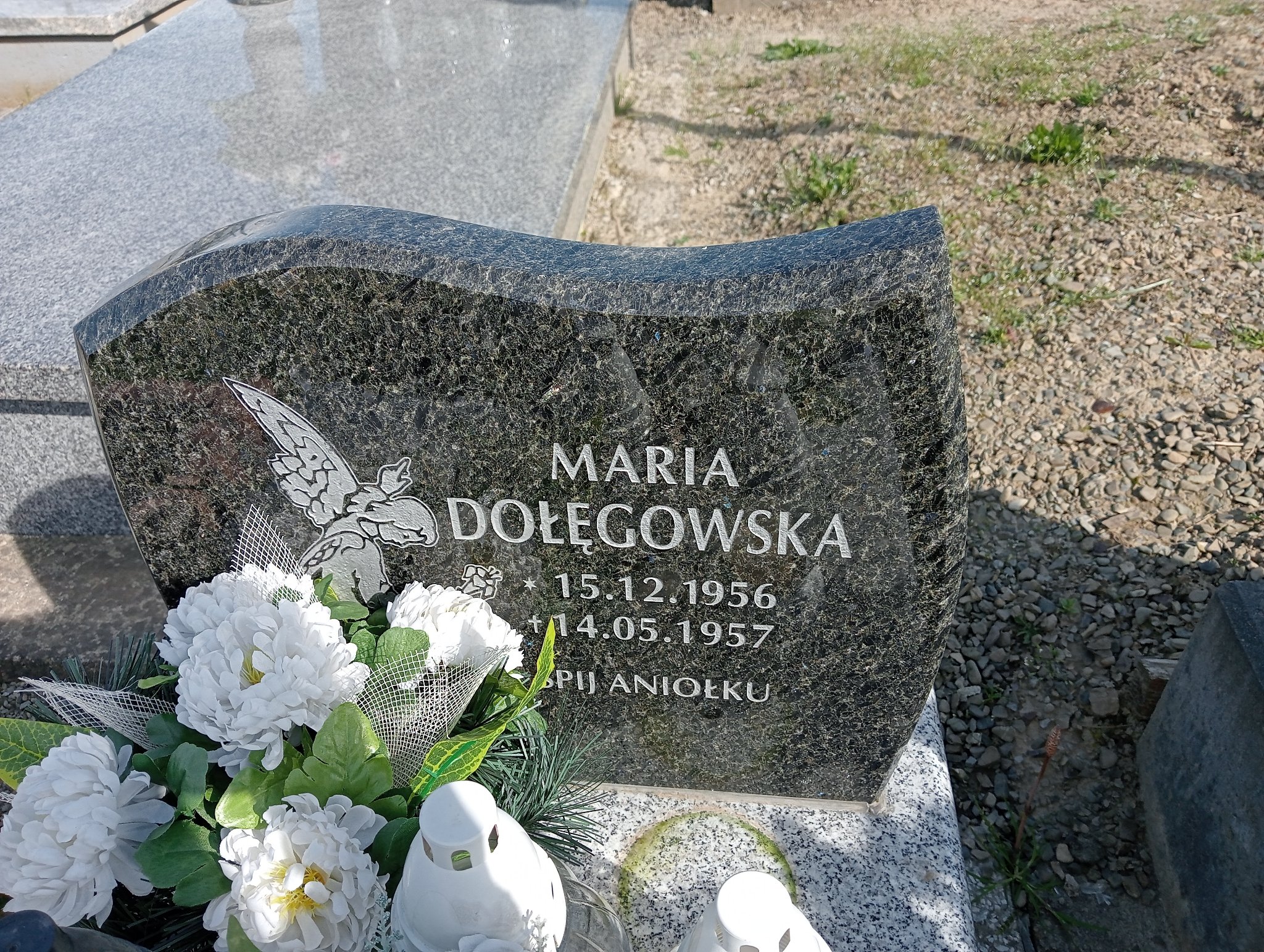 Maria Dołęgowska 1956 Miejsce Piastowe - Grobonet - Wyszukiwarka osób pochowanych