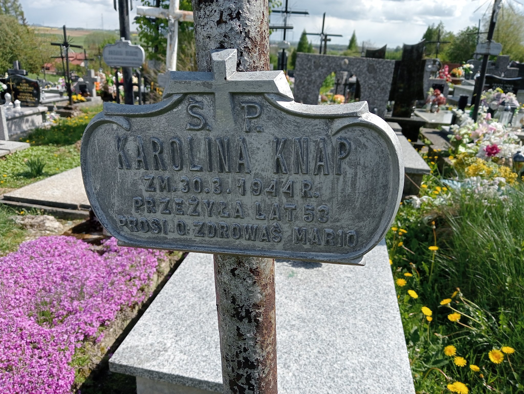 Karolina Knap Miejsce Piastowe - Grobonet - Wyszukiwarka osób pochowanych