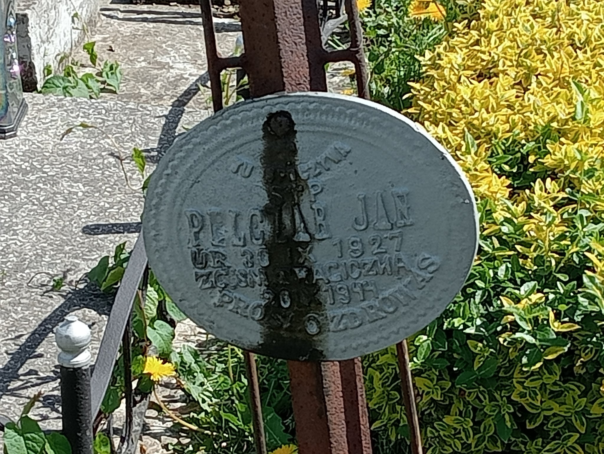 Grób Jan Pelczar
