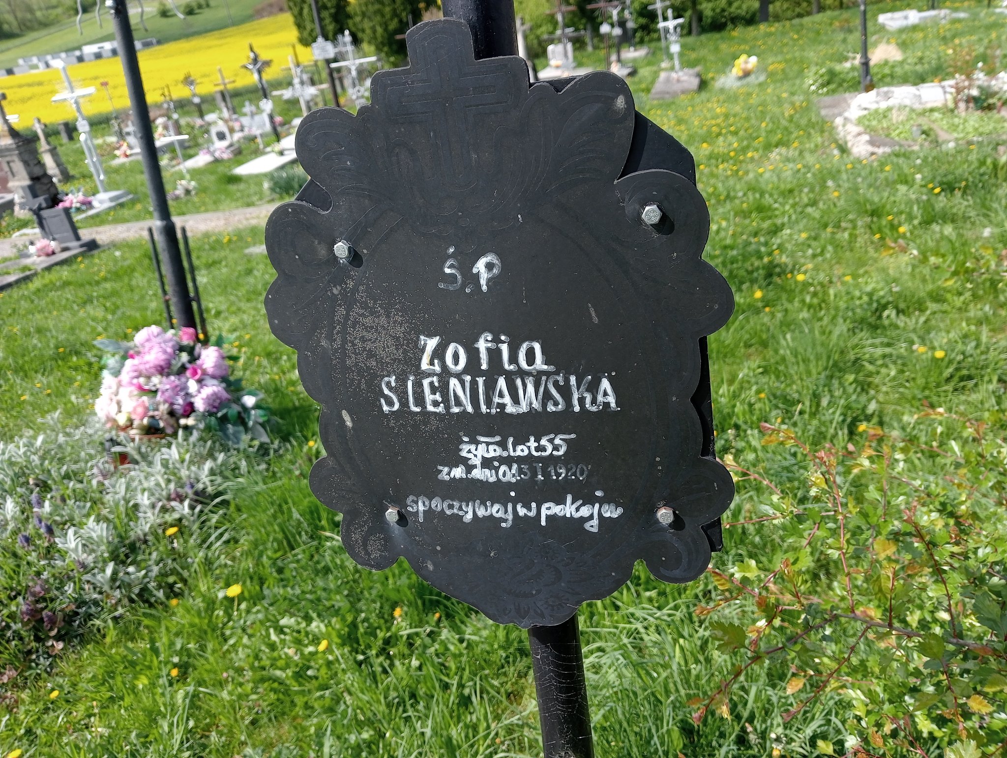 Zdjęcie grobu