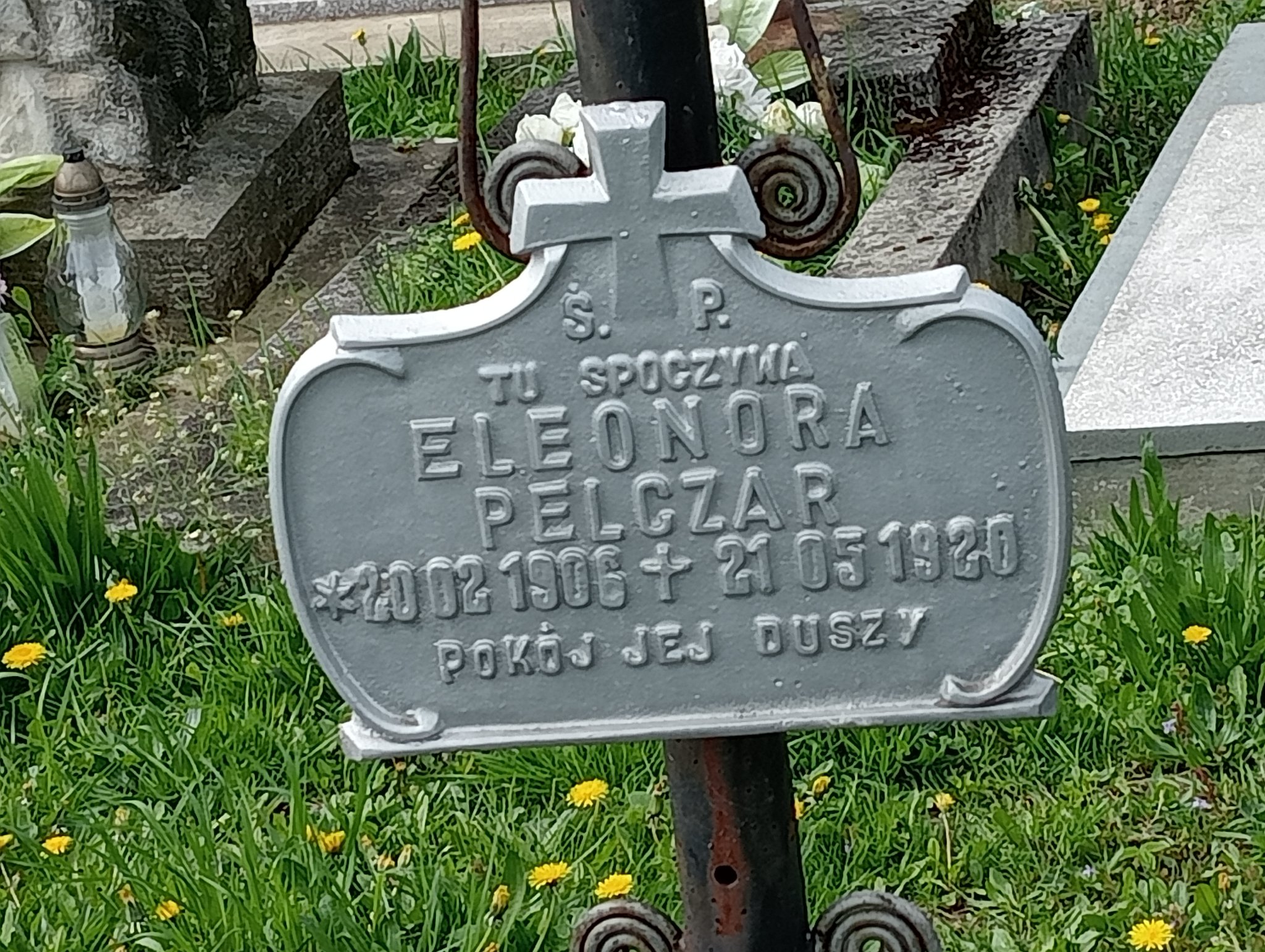 Eleonora Pelczar 1906 Miejsce Piastowe - Grobonet - Wyszukiwarka osób pochowanych