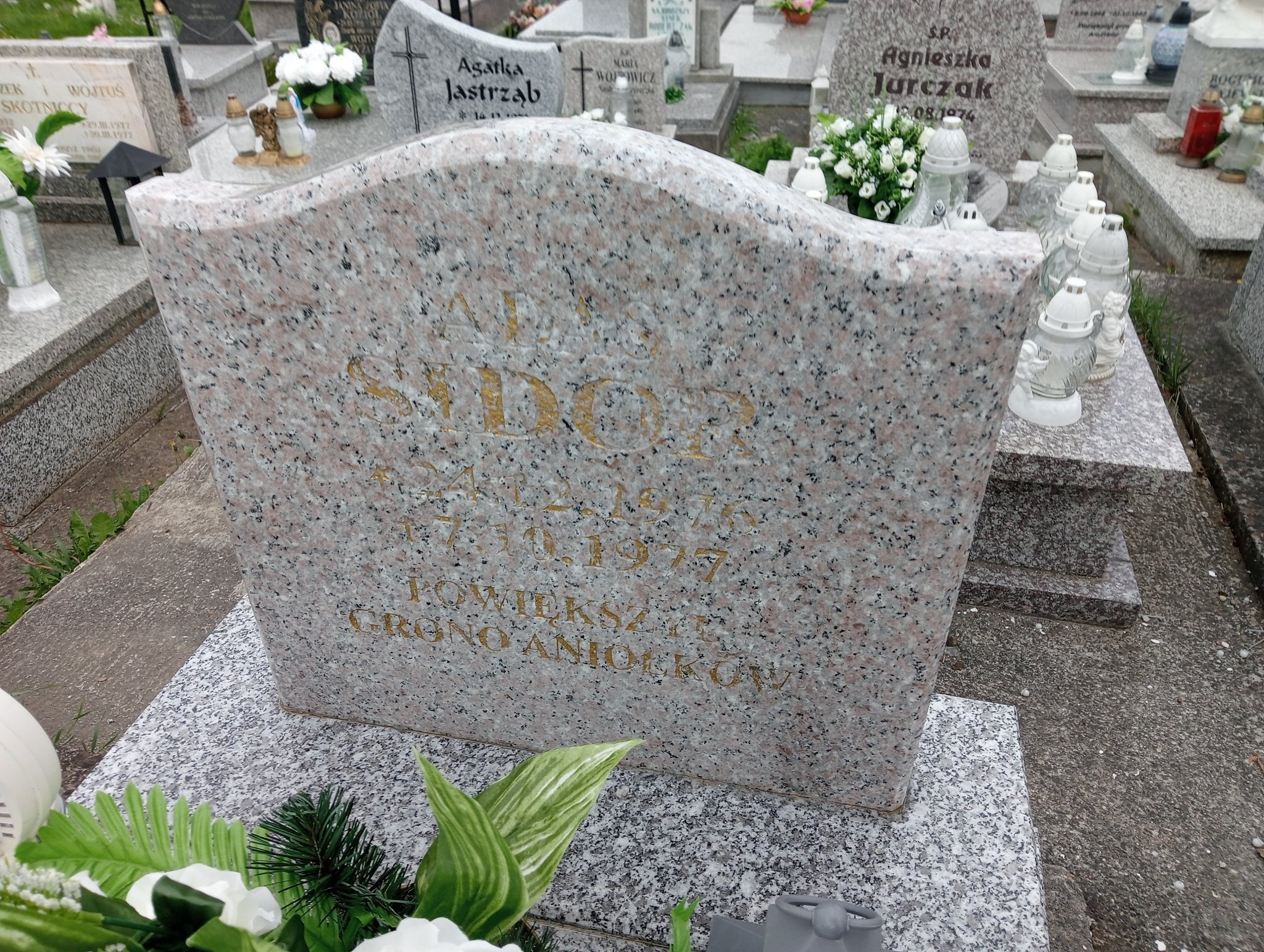 Adam Sidor 1976 Miejsce Piastowe - Grobonet - Wyszukiwarka osób pochowanych